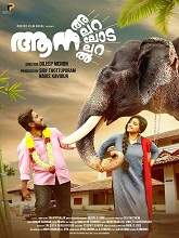 Aana Alaralodalaral (2017) DTHRip Malayalam Full Movie Watch Online Free