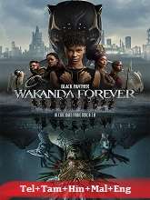 Black Panther: Wakanda Forever (2022) BRRip Original [Telugu + Tamil + Hindi + Malayalam + Eng] Dubbed Movie Watch Online Free