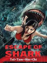 Escape of Shark (2021) HDRip Original [Telugu + Tamil + Hindi + Chi] Dubbed Movie Watch Online Free