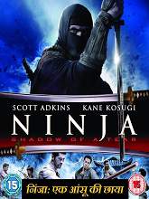 Ninja: Shadow of a Tear (2013) DVDRip Hindi Dubbed Movie Watch Online Free