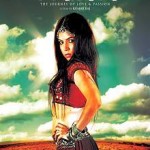 Tara: The Journey of Love and Passion (2014) DVDRip Hindi Full Movie Watch Online Free