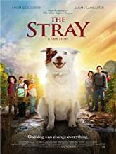 The Stray (2017) DVDRip Full Movie Watch Online Free